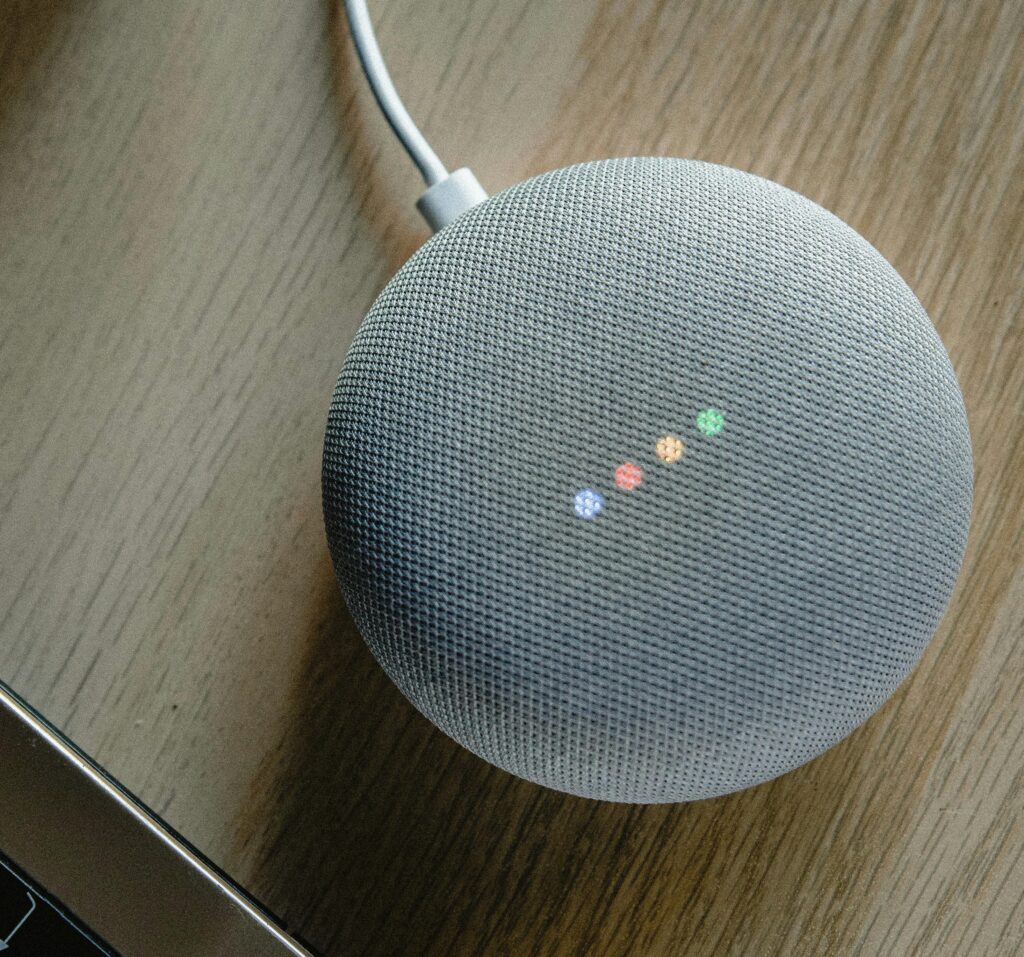 google home mini www.scellit.co.za
